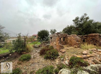 Arsa-Özel Kullanım