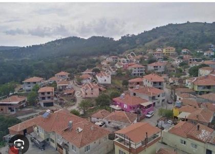 Arsa-Konut İmarlı
