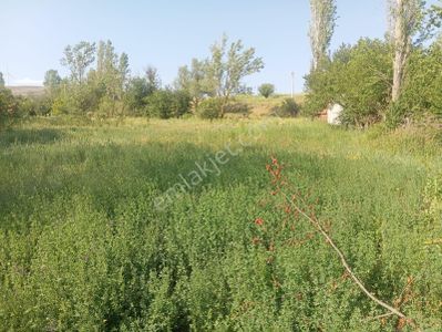 Arsa-Tarla
