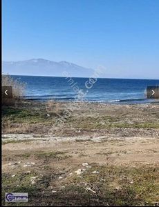 Arsa-Zeytinlik
