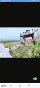 Arsa-Zeytinlik