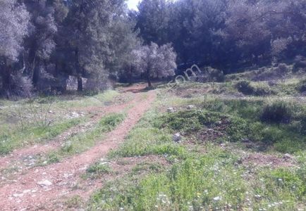 Arsa-Konut İmarlı