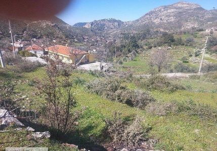 Arsa-Konut İmarlı