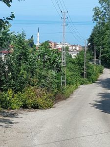 Arsa-Tarla