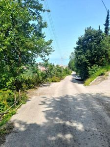 Arsa-Tarla