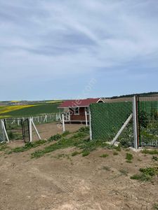 Arsa-Tarla