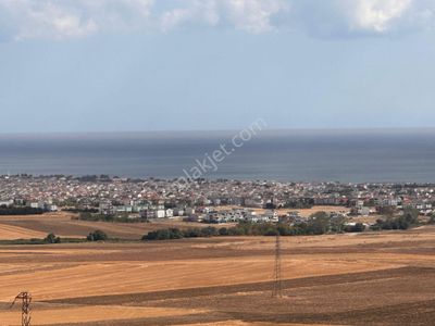 Arsa-Tarla