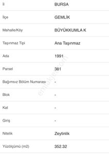 Arsa-Zeytinlik