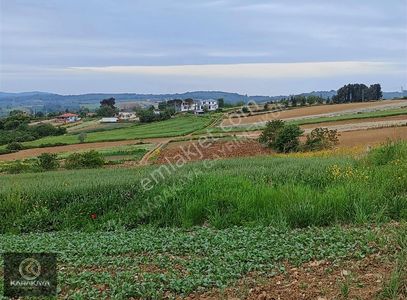 Arsa-Tarla