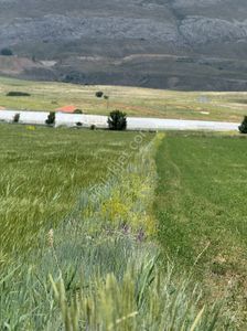 Arsa-Tarla