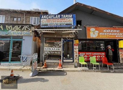 İşyeri-Dükkan & Mağaza