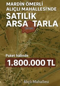 Arsa-Arazi