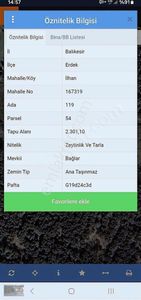Arsa-Zeytinlik