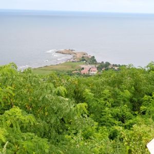 Arsa-Bağ & Bahçe
