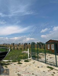 Arsa-Bağ & Bahçe