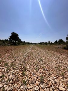 Arsa-Tarla