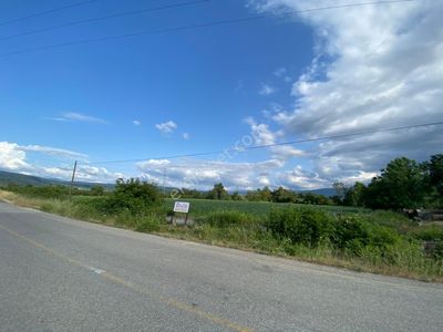 Arsa-Tarla