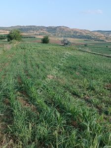 Arsa-Tarla