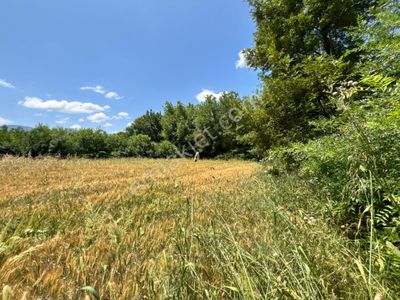 Arsa-Tarla