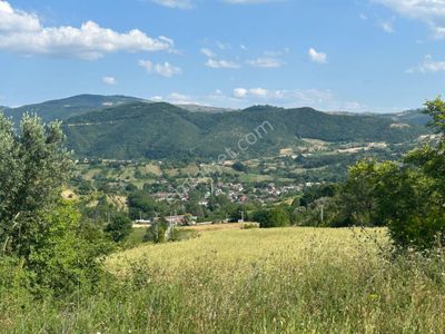 Arsa-Tarla