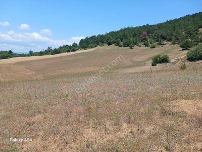 Arsa-Tarla