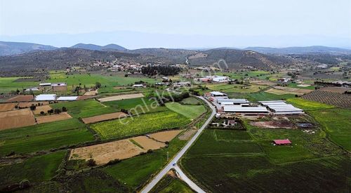 Arsa-Tarla