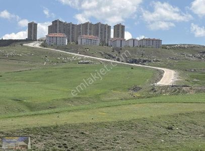 Arsa-Tarla