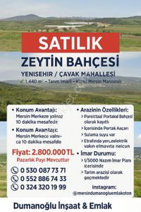 Arsa-Bağ & Bahçe