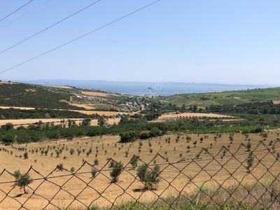 Arsa-Bağ & Bahçe