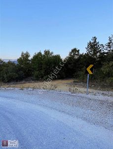 Arsa-Tarla