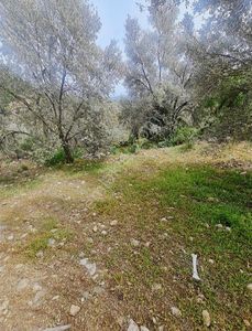Arsa-Konut İmarlı