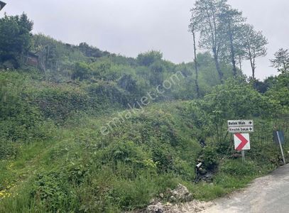 Arsa-Konut İmarlı