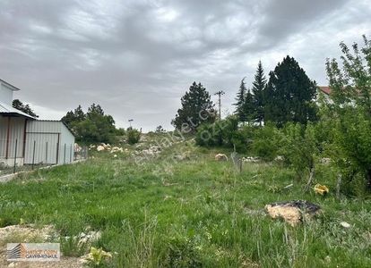 Arsa-Konut İmarlı