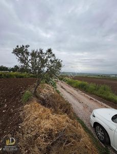Arsa-Tarla