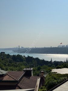 İşyeri-Dükkan & Mağaza