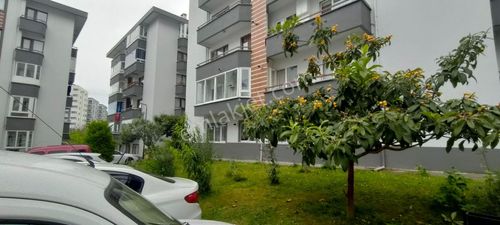 Konut-Daire