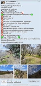 Arsa-Tarla