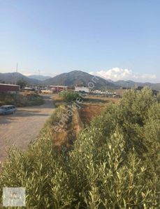 Arsa-Tarla