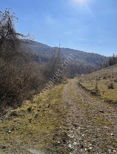 Arsa-Tarla