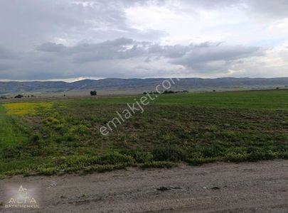 Arsa-Tarla