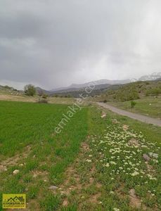 Arsa-Tarla
