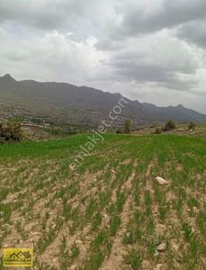 Arsa-Tarla