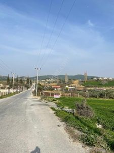 Arsa-Tarla
