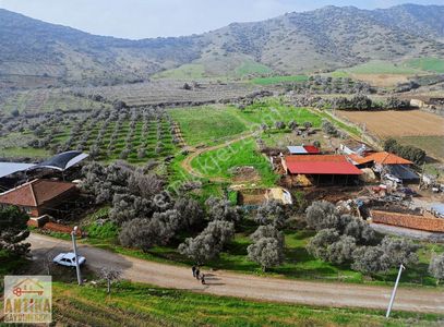 Arsa-Konut İmarlı