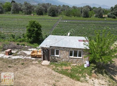 Arsa-Tarla