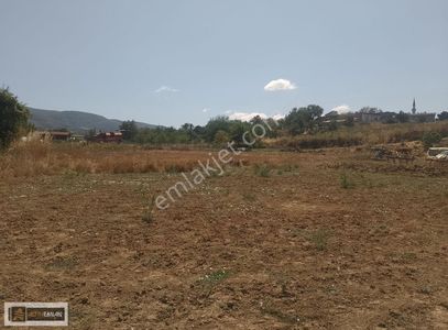 Arsa-Konut İmarlı