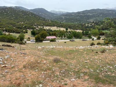 Arsa-Tarla
