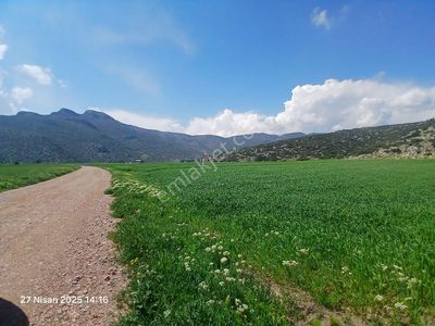 Arsa-Tarla