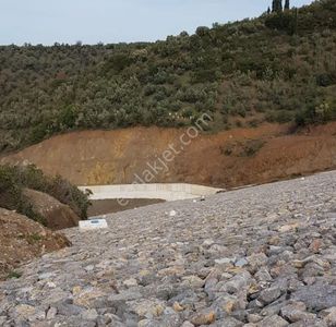 Arsa-Zeytinlik