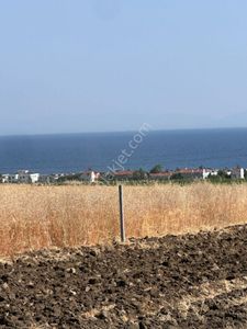 Arsa-Tarla